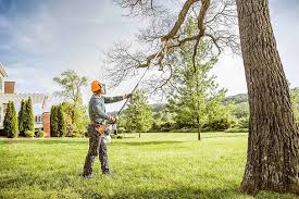 Best Tree Planting Services  in Croydon, PA